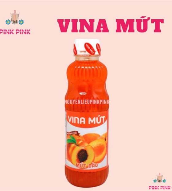 ST VINA MỨT 1L ( Dâu )