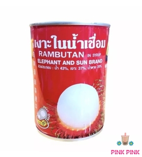 LON CHÔM CHÔM THÁI CON VOI