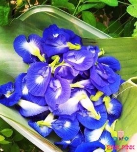 HOA KHÔ 1KG - LOẠI:ATISO ĐỎ